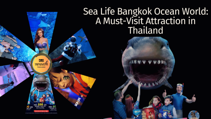 Discover the Wonders of Sea Life Bangkok Ocean World: A Must-Visit Attraction in Thailand Sea Life Bangkok Ocean World Bangkok aquarium Things to do in Bangkok Family-friendly attractions in Bangkok Bangkok tourist spots Sea Life Bangkok tickets Marine life in Bangkok Southeast Asia's largest aquarium