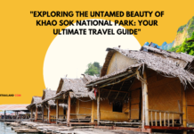 “Exploring the Untamed Beauty of Khao Sok National Park: Your Ultimate Travel Guide”